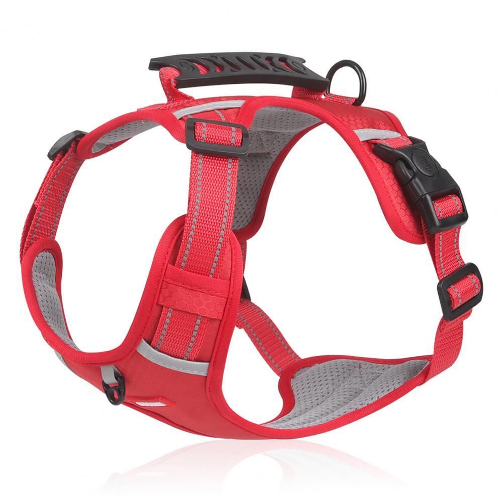 Nylon Dog Harness for Outdoor Training