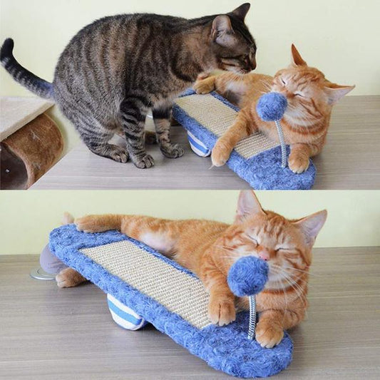 Balanced game for cats and kittens