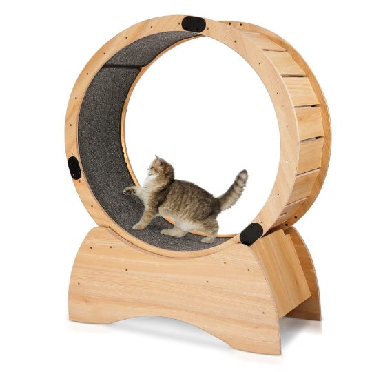 Cat Treadmill with Carpeted Runway Toy