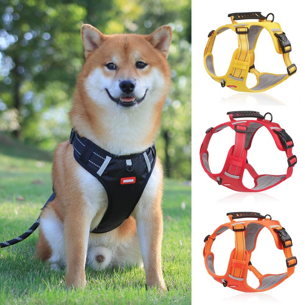 Nylon Dog Harness for Outdoor Training