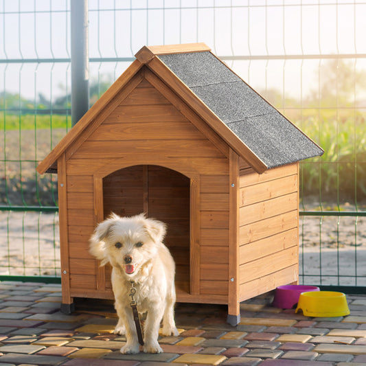 Black Asphalt Roof Dog House