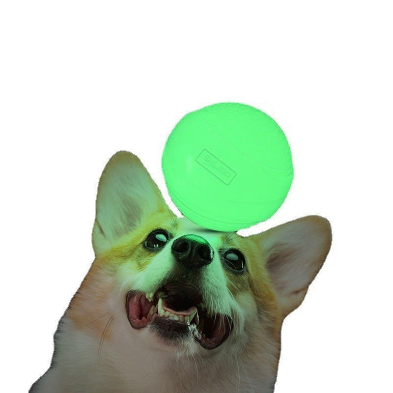 Safe glow rubber ball for dogs