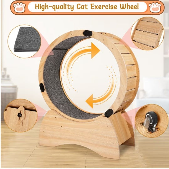 Cat Treadmill with Carpeted Runway Toy