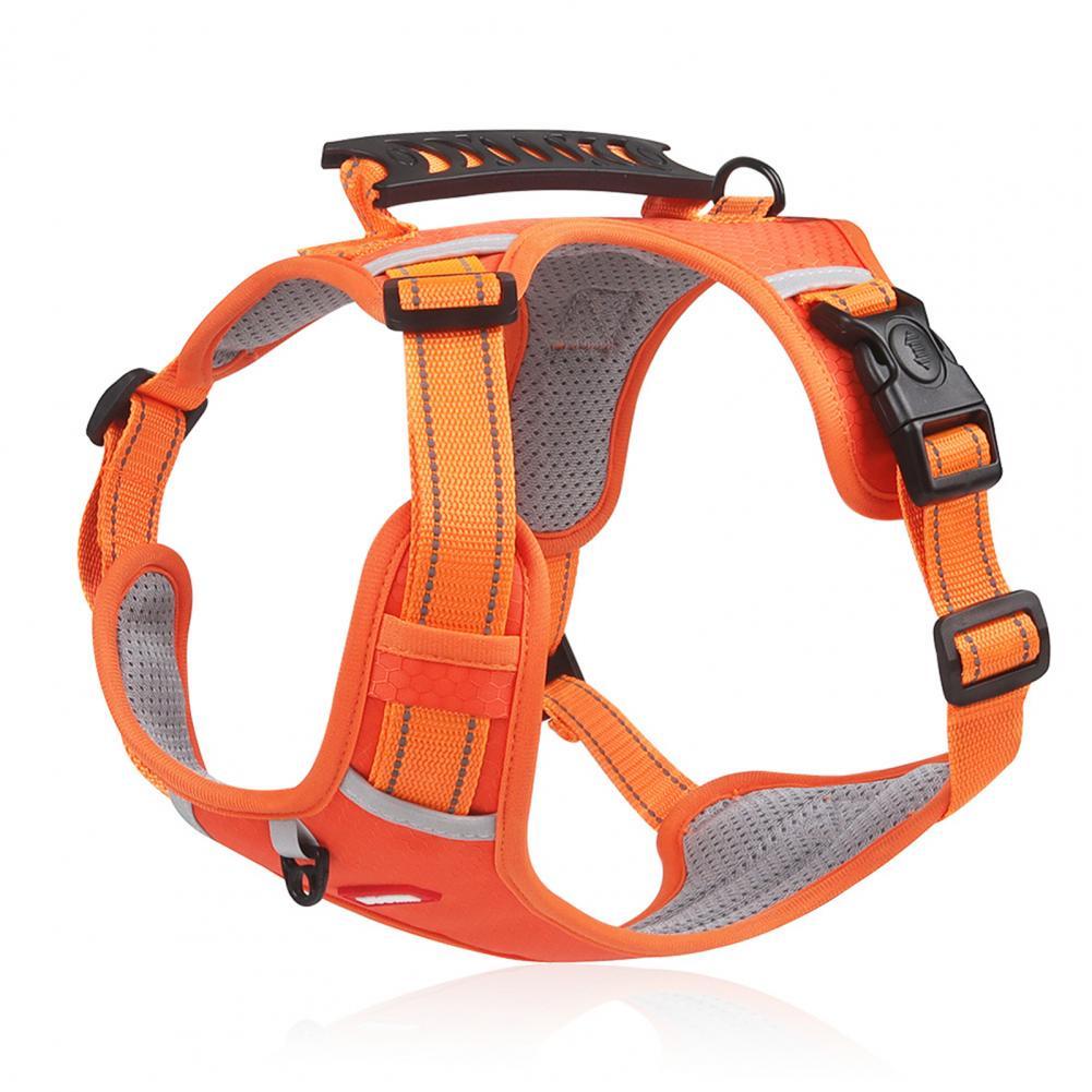 Nylon Dog Harness for Outdoor Training