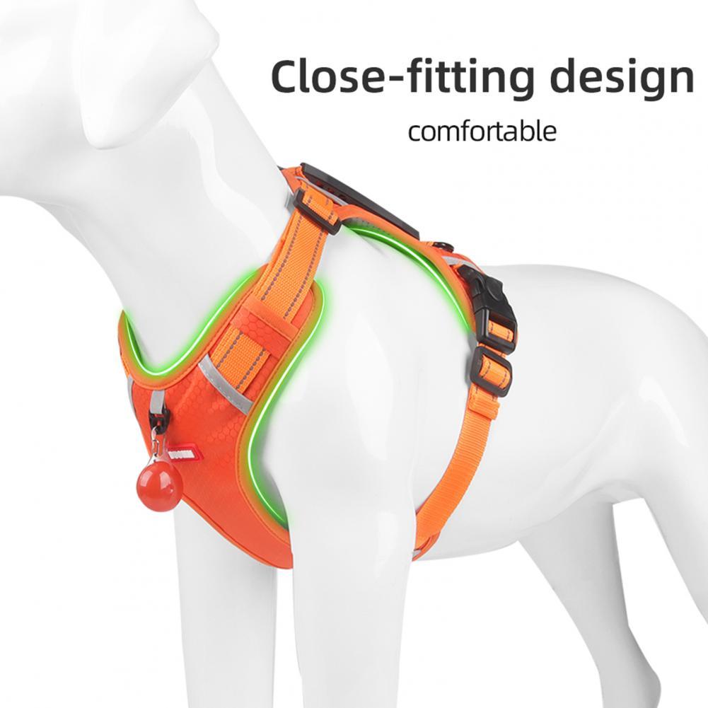 Nylon Dog Harness for Outdoor Training