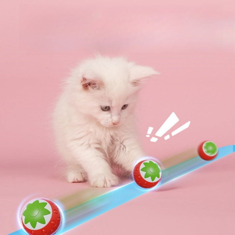 Self-Hi Electric Cat Toy for Relief