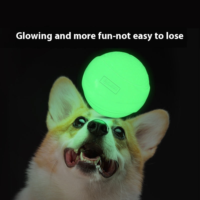 Safe glow rubber ball for dogs