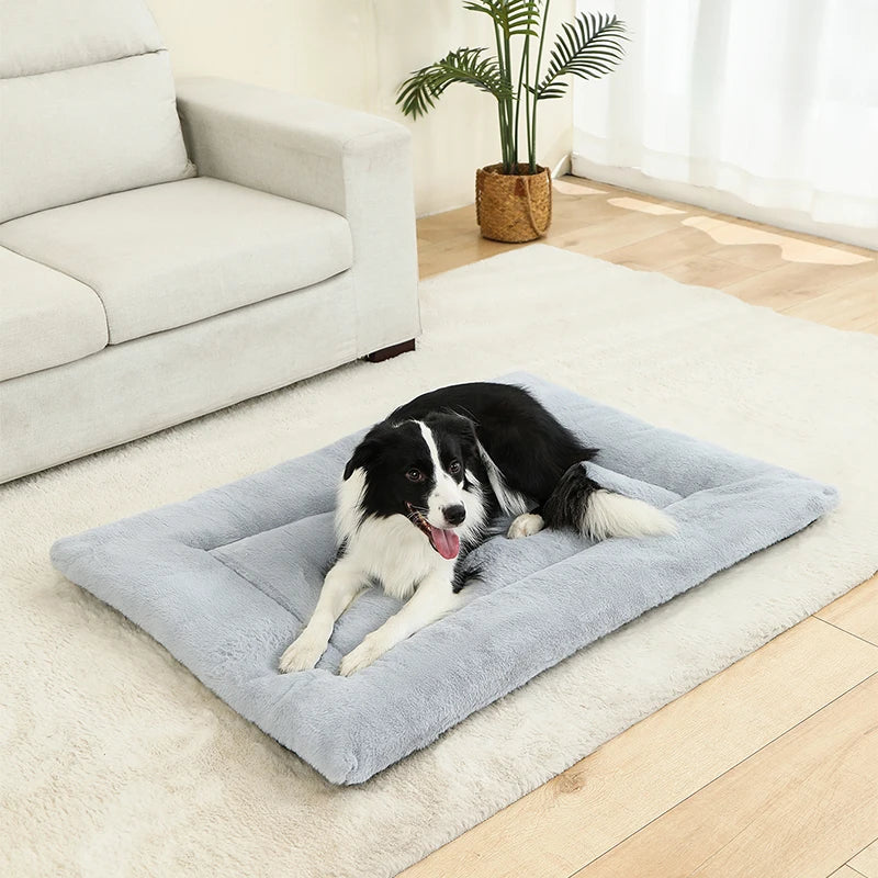 Soft Dog Bed for Ultimate Comfort