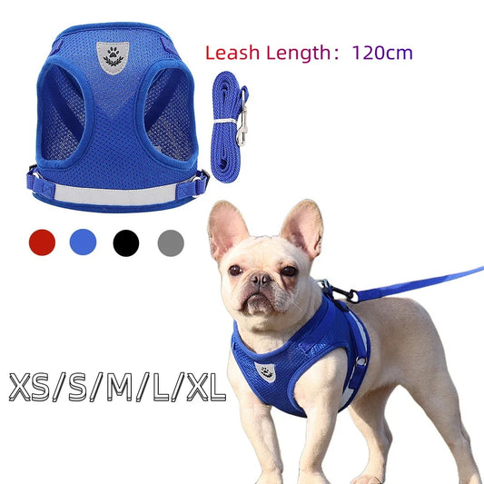 Quality Dog Harness And Leash Set Dog Accessories For Small