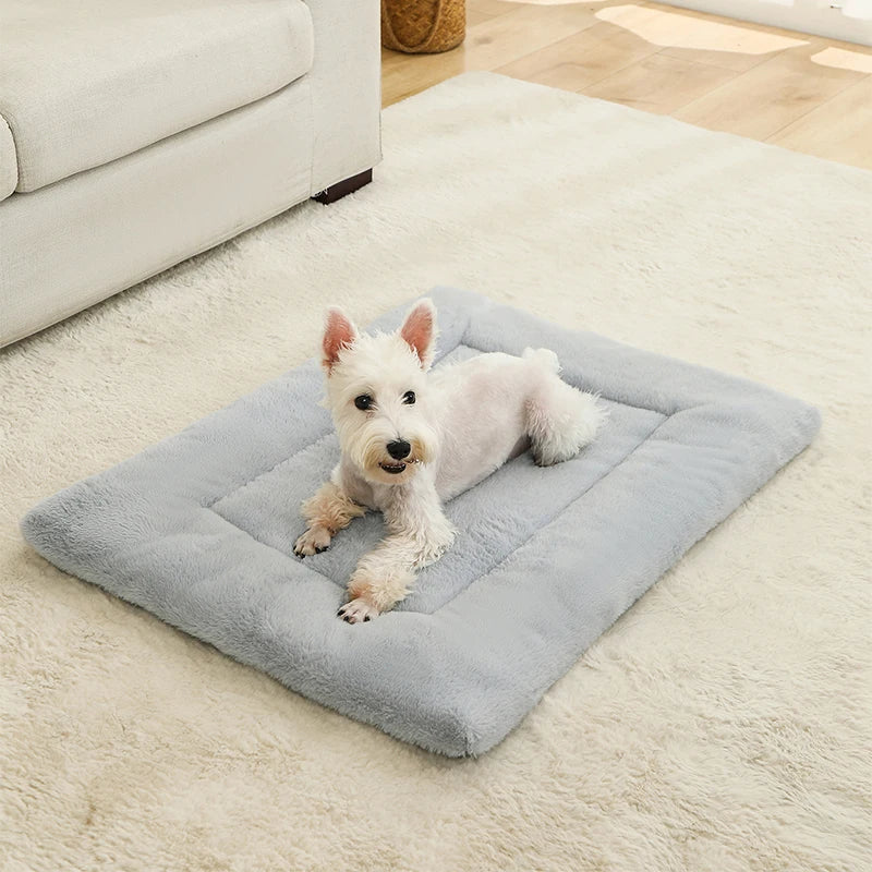 Soft Dog Bed for Ultimate Comfort