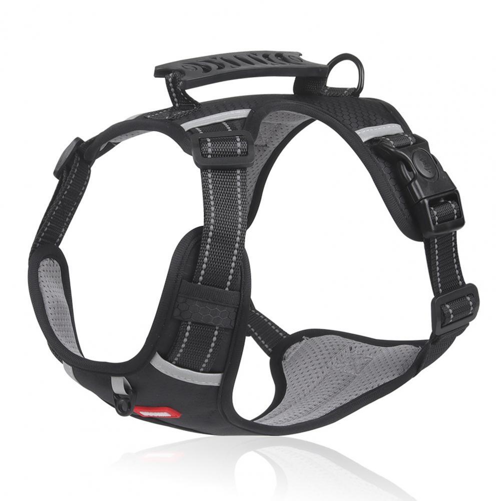 Nylon Dog Harness for Outdoor Training